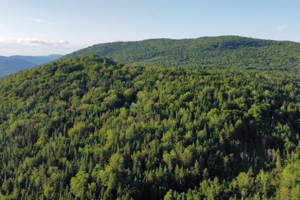 Terre De L'orme With Tucked Away In Nature Chalet *
